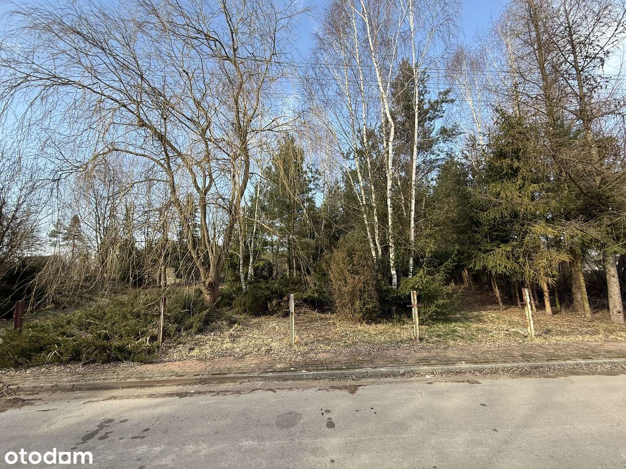 Działka budowlana 8200 m2, LIPICZE, szerokość 40 m ! - Pełny obrazek: 4/14