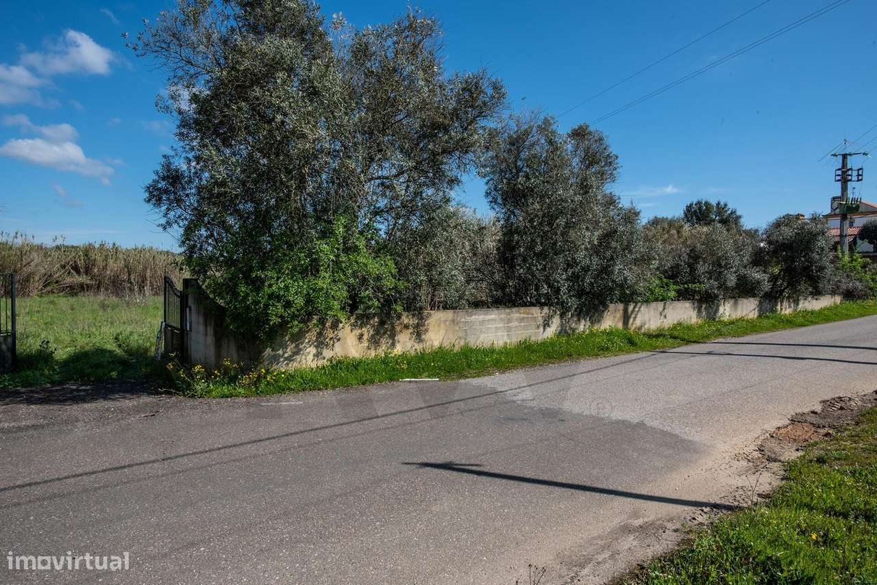 Terreno Rústico 7.000m2, Abrançalha de Cima, Senhora da Luz, Abrantes - Grande imagem: 4/15