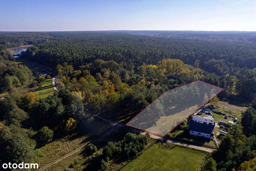 Las na własność, dom na wyłączność!-1