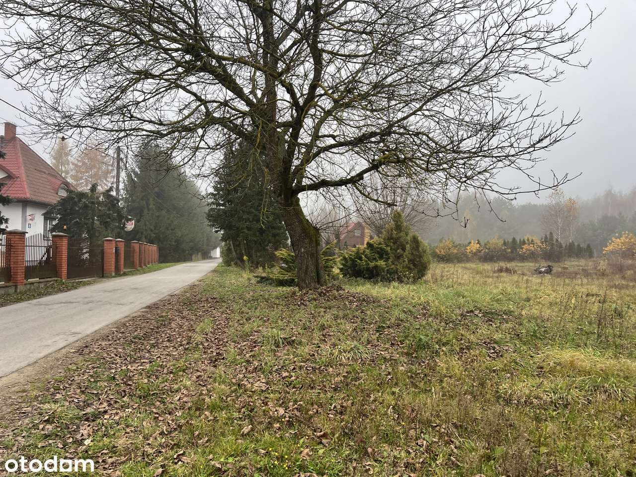 Atrakcyjna działka | Przykory | OKAZJA-0