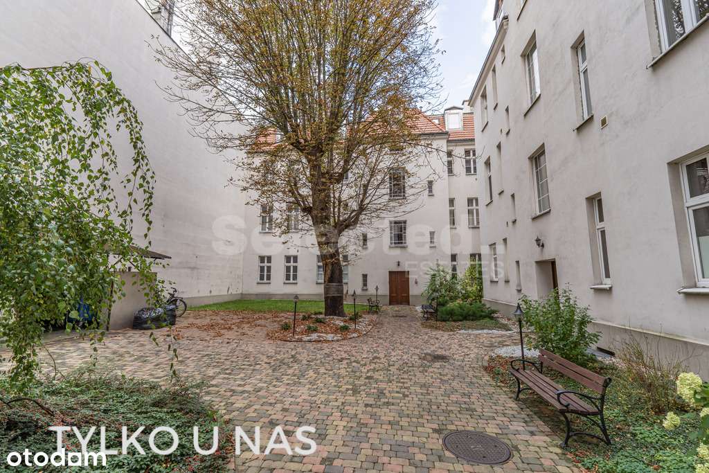 Gotowy lokal pod działalność medyczno-lekarską-18