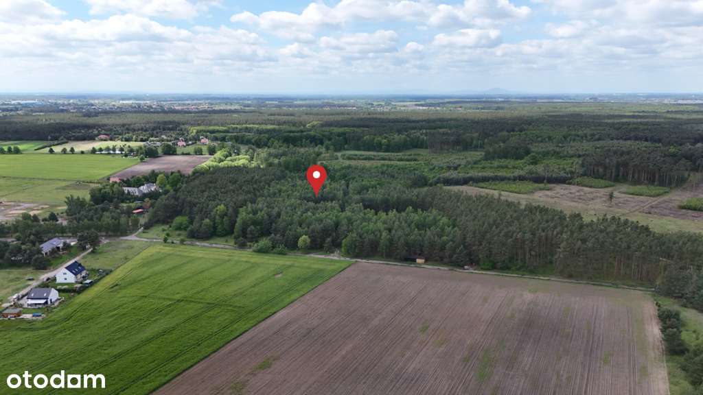 Zamieszkaj w rytmie natury – działka marzeń-3