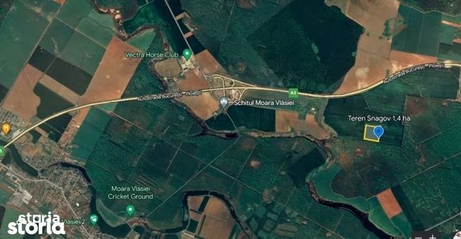 Teren 1,4ha Snagov 10 euro mp+TVA-0