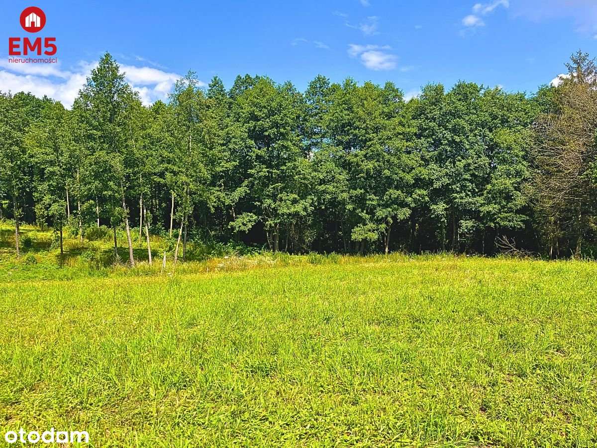 Działka budowlana z dostępem do jeziora - Mazury - Pełny obrazek: 3/5