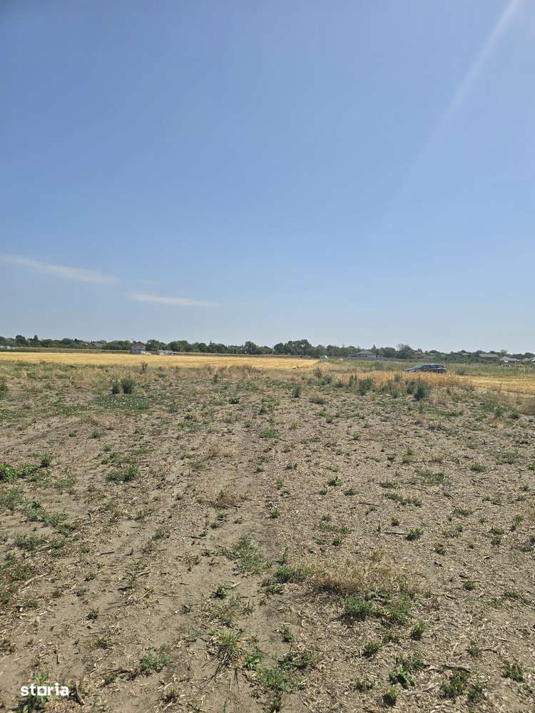 SUPER OFERTA!!! Teren intravilan de Vanzare (Com. Clinceni) - Imagine principală: 5/13