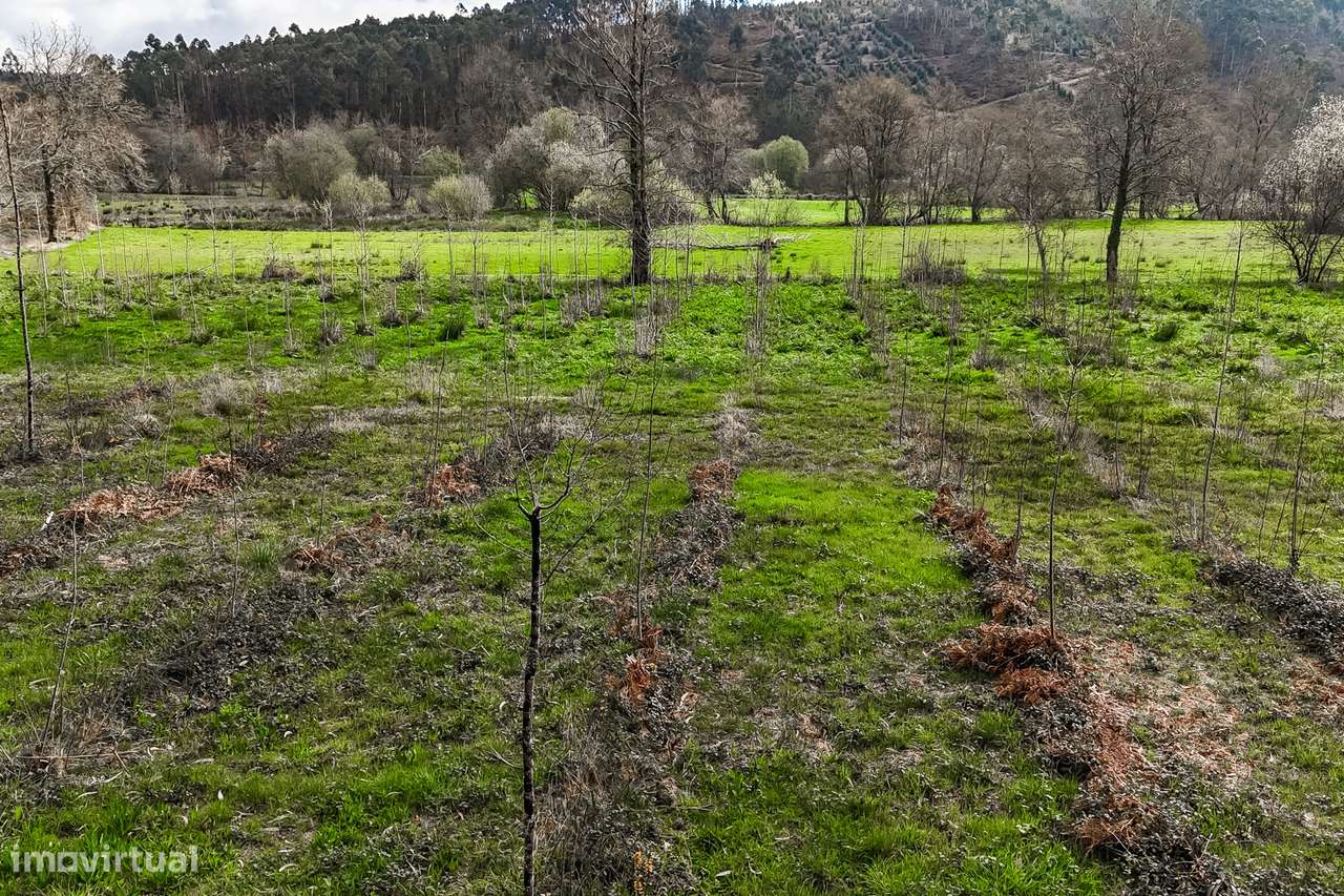 Terreno Rústico  Venda em Associação de freguesias do Vale do Neiva,Po-19
