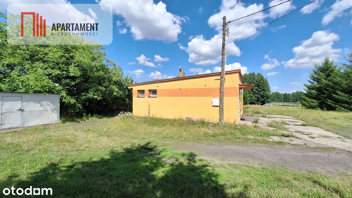 Atrakcyjna działka przy jeziorze - Pełny obrazek: 4/10