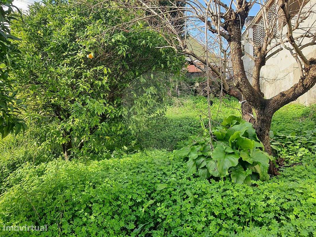 Terreno  para venda-9