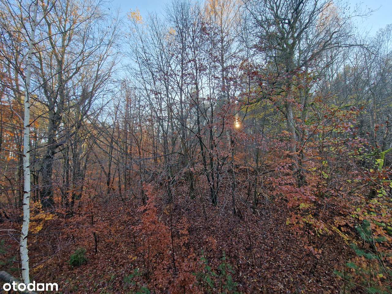 Oferta inwestycyjna - działka 2149m2 Osiedle Rzewnica-5