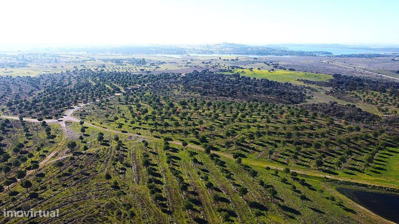 Herdade junto ao Lago de Alqueva - Mourão-12