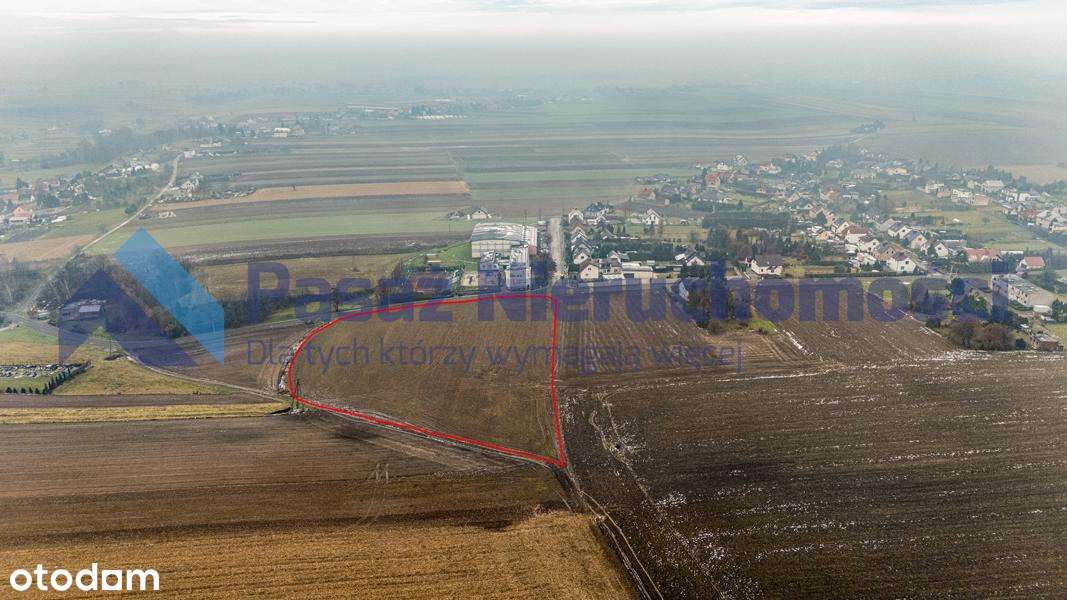 TEREN POD INWESTYCJE PRZEMYSŁOWE I ROLNE - Pełny obrazek: 4/7