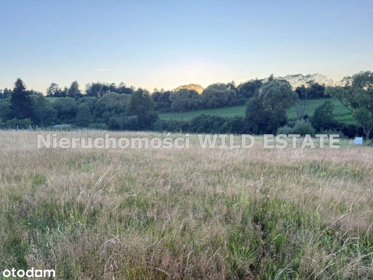 Działka, 2 839 m², Czarna Dolna - Pełny obrazek: 5/5