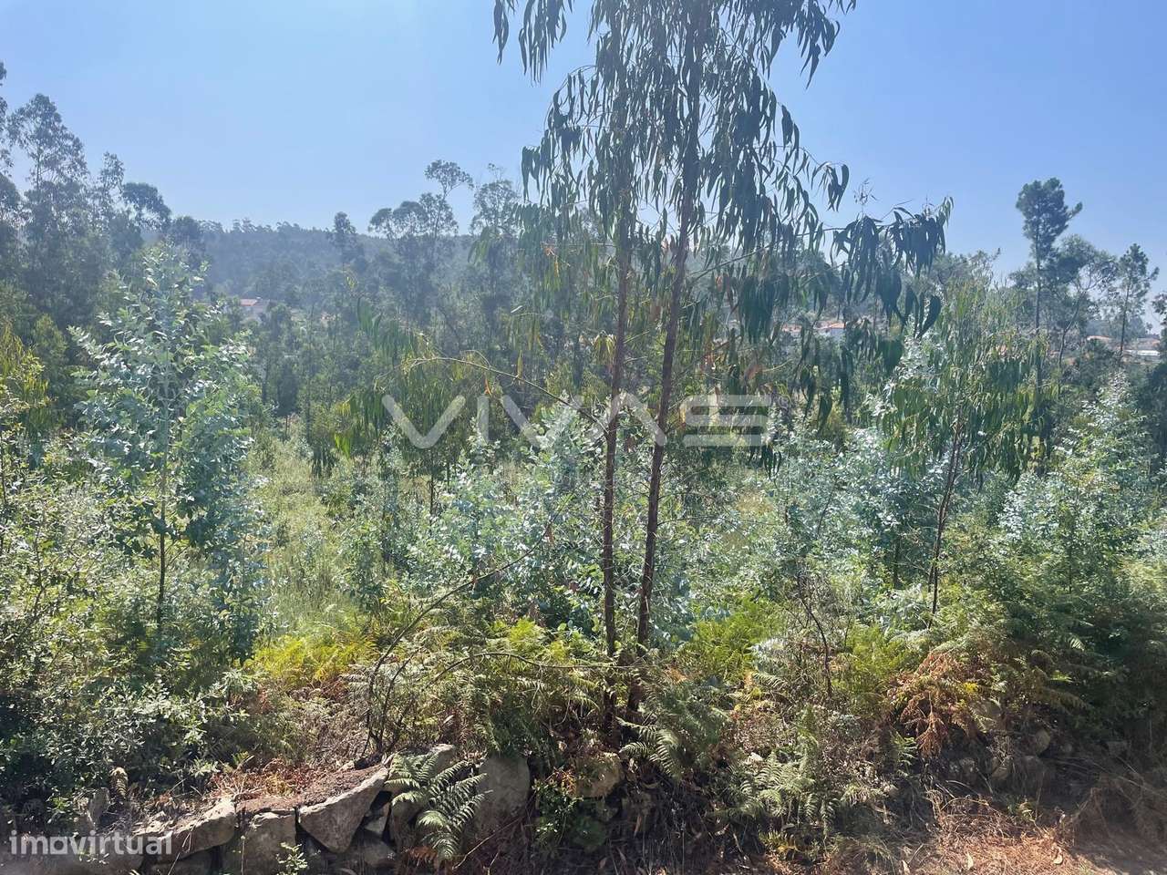 Terreno Rústico  Venda em Nine,Vila Nova de Famalicão - Grande imagem: 2/3