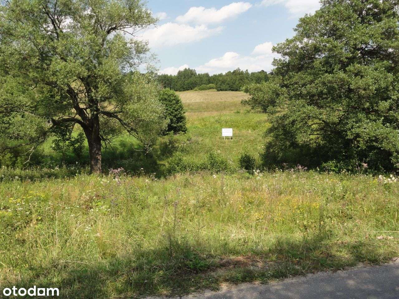 Atracyjna działka - Góry Sowie - Glinno-4