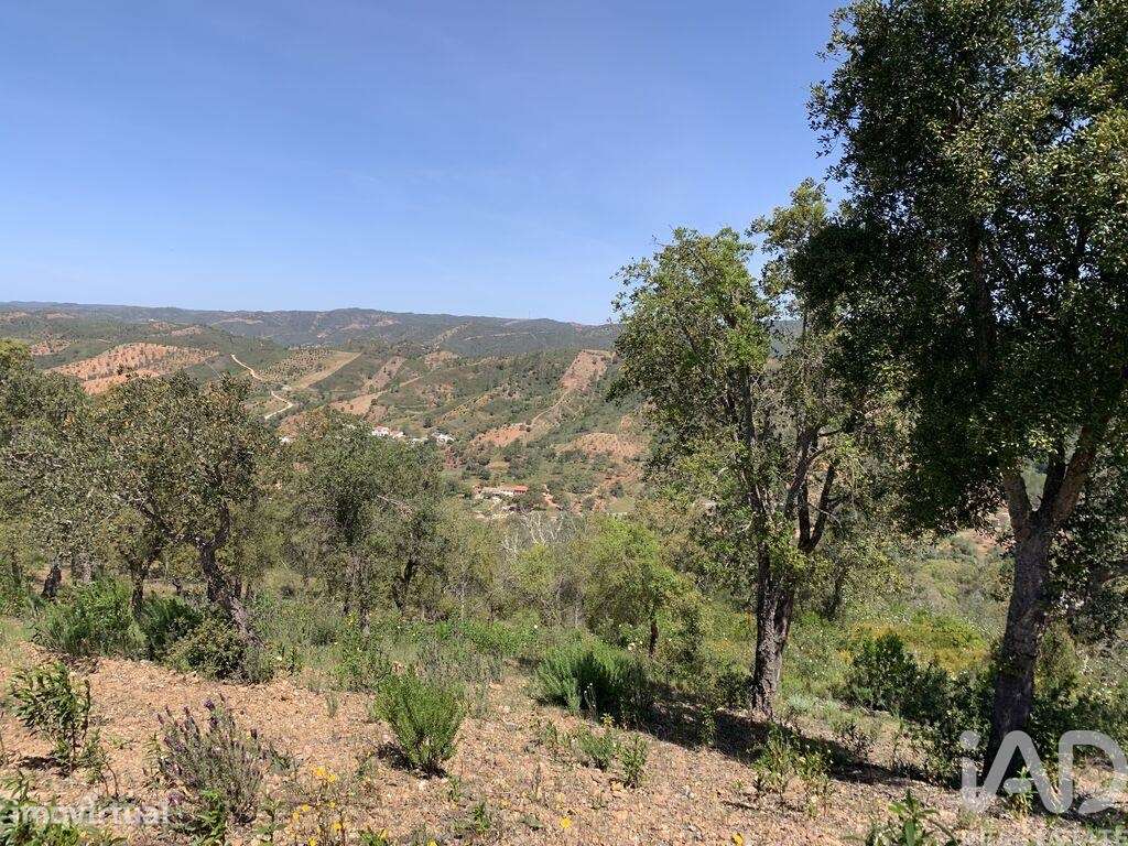 Terreno em Querença, Tôr e Benafim de 9960,00 m2 - Grande imagem: 5/7