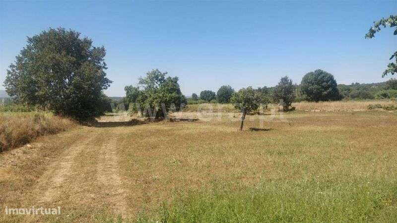 Terreno Rústico / Fundão, Capinha - Grande imagem: 2/5