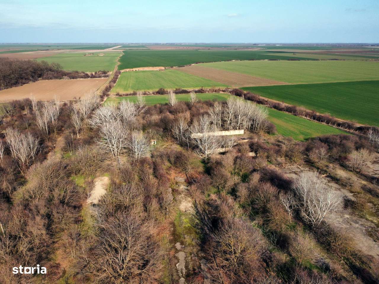 Ferma si livada de meri in judetul Ilfov-14