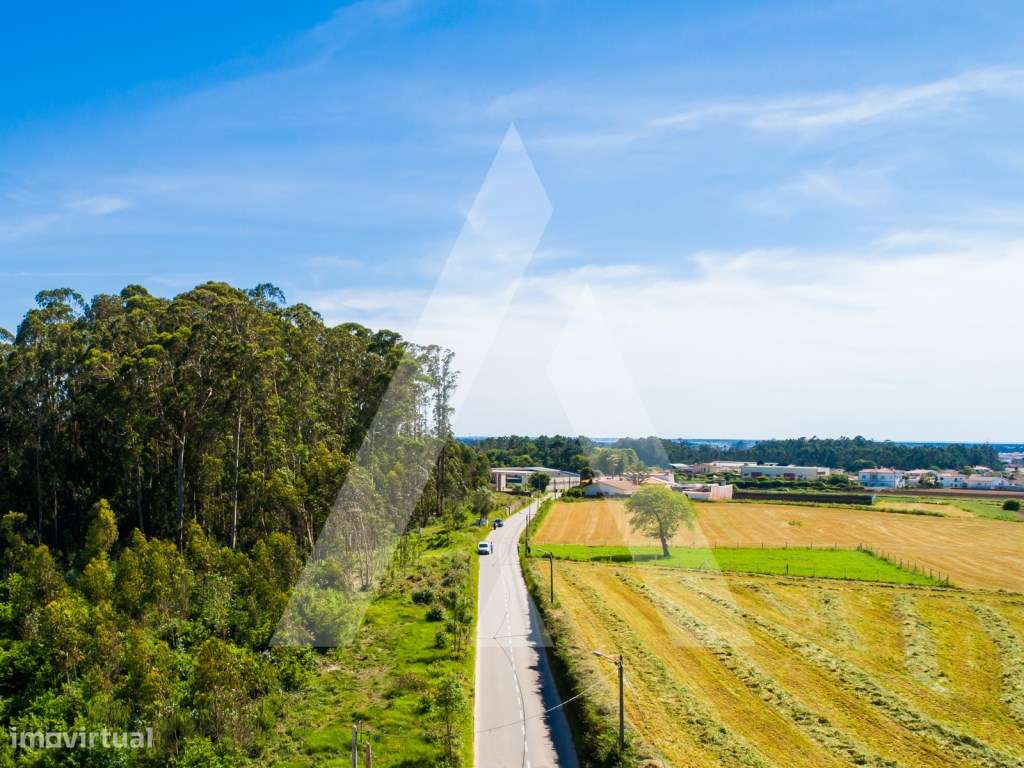 Terreno para construção entre Ovar e Santa Maria da Feira. - Grande imagem: 2/22