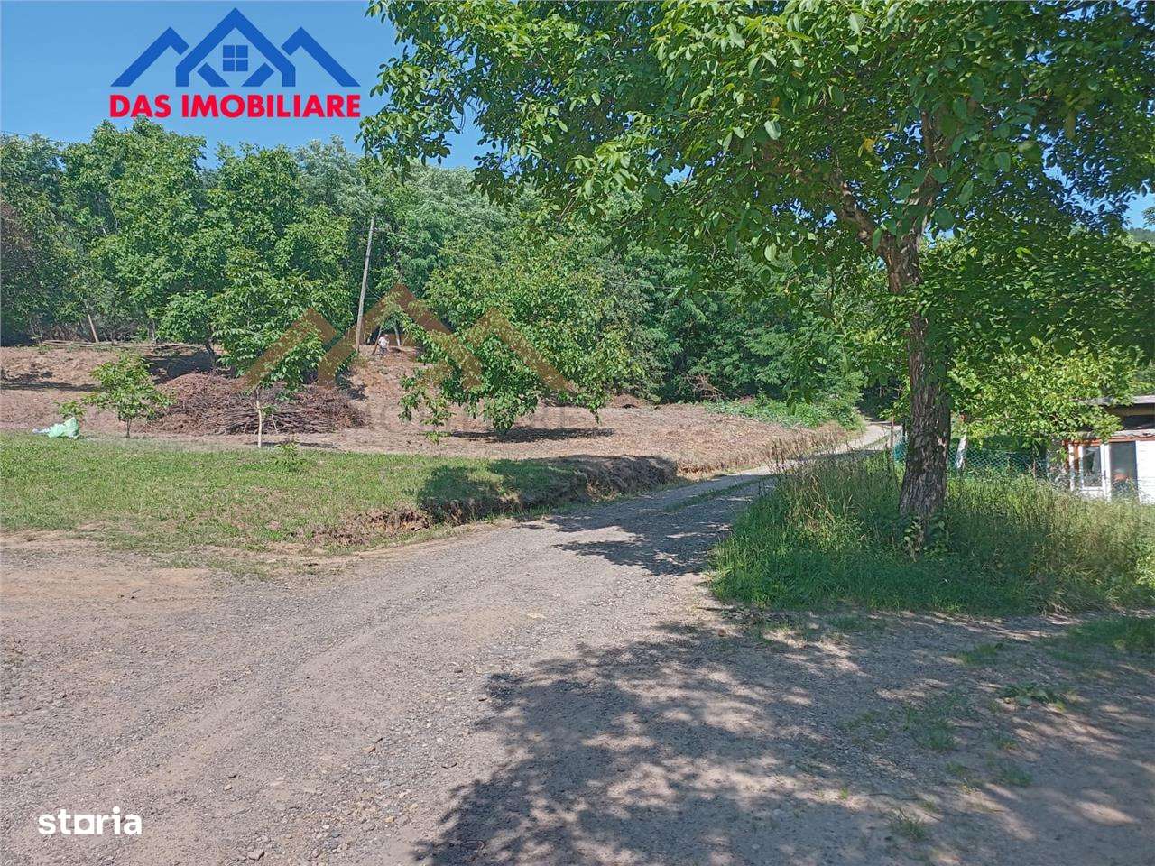 Teren intravilan,  2,5 ha, zona de deal in Seini - Imagine principală: 2/5