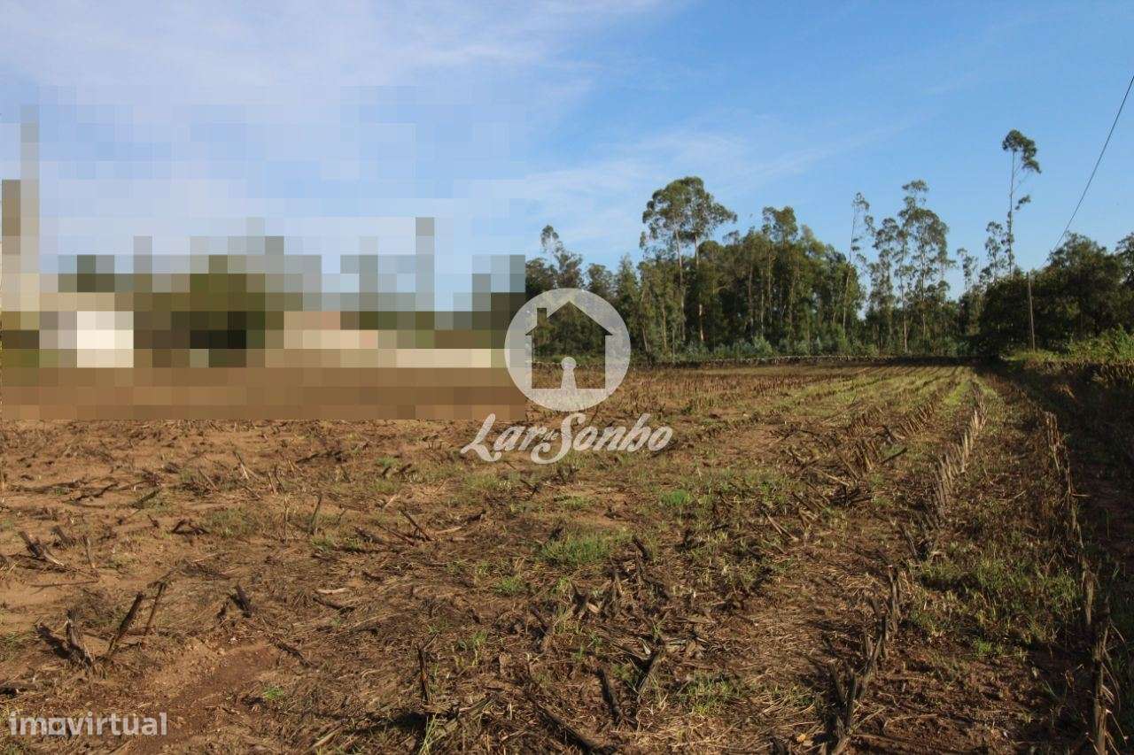 Terreno plano para construção com 5200m2 em Bagunte, Vila do Conde - Grande imagem: 2/7