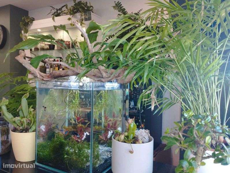 Trespasse restaurante Coimbra - Solum - Grande imagem: 4/10