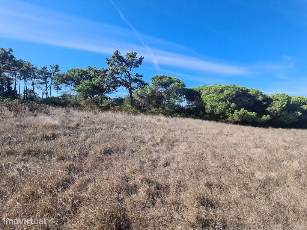 Terreno com 17000 m2 em sitio Privilegiado - Grande imagem: 3/13