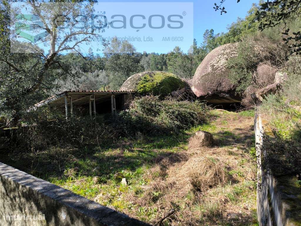 Terreno com casa em pedra e anexos - Palvarinho-9