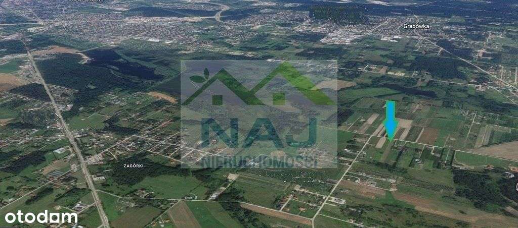 Działka wśród drzew w Kurianach-8