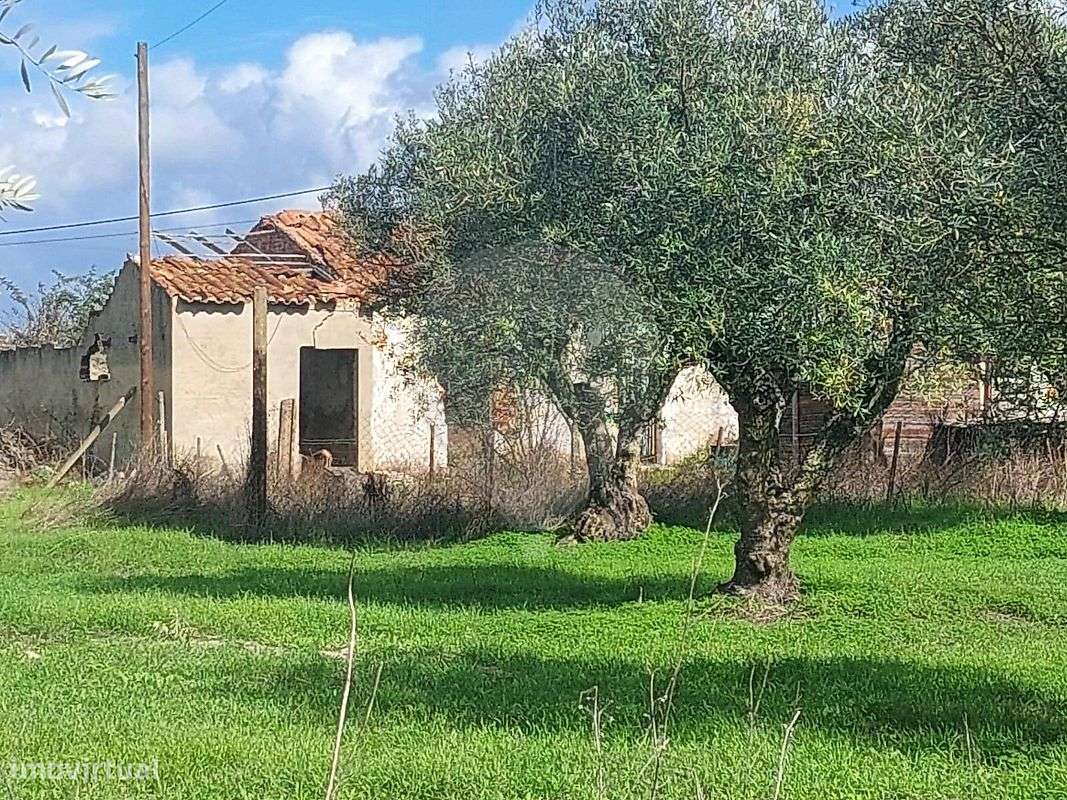 Quinta  para venda - Grande imagem: 2/20