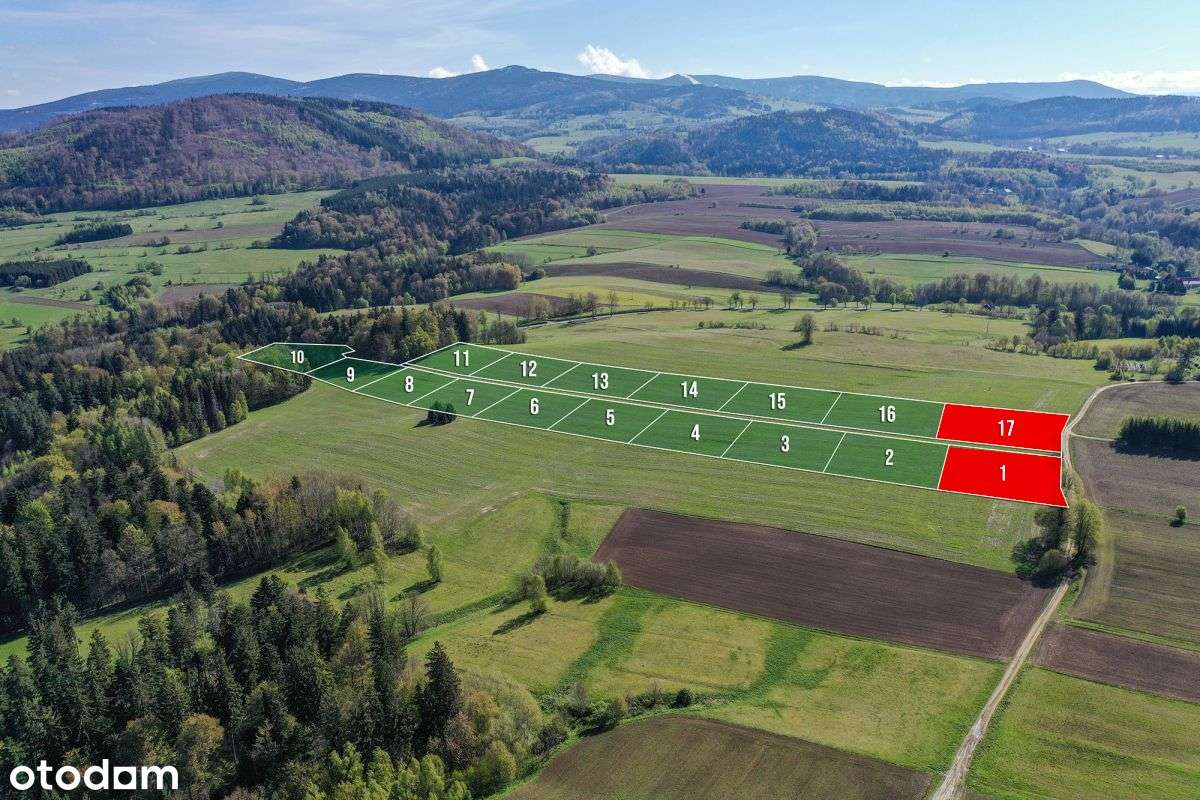 Działki widokowe w gminie Międzylesie / 3000 mkw.-0