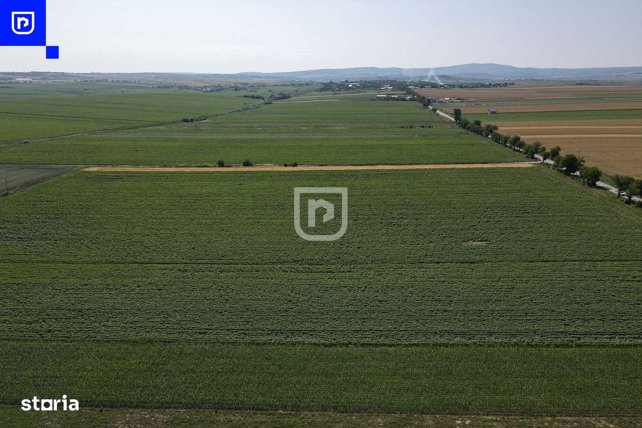 Teren - Orășeni Deal, Curtești | BOTOȘANI | 10.000mp - Imagine principală: 3/8