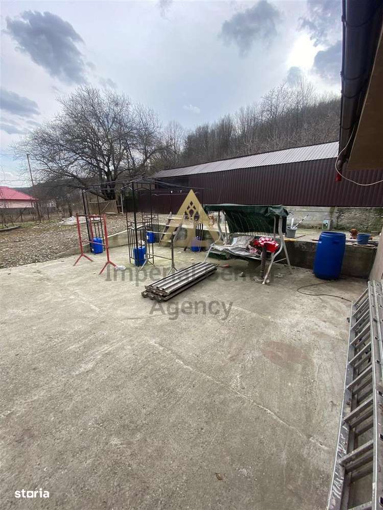 Casa cu teren in suprafata de 1800 mp  de vanzare  NEGOESTI ONESTI - Imagine principală: 5/18