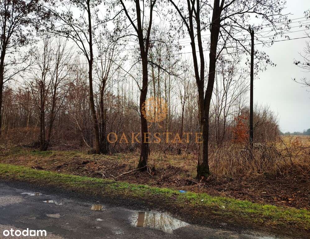 256/9676/OGS - Pełny obrazek: 5/7