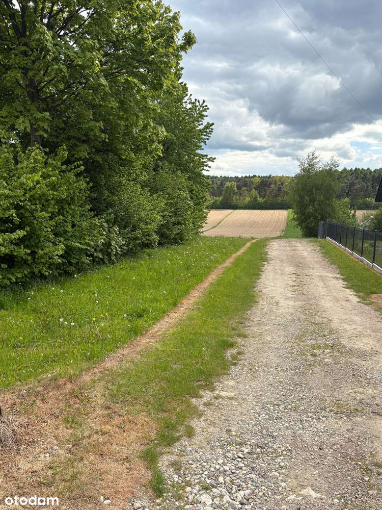 Działka budowlano-rolna Zadroże gmina Trzyciąż - Pełny obrazek: 5/6