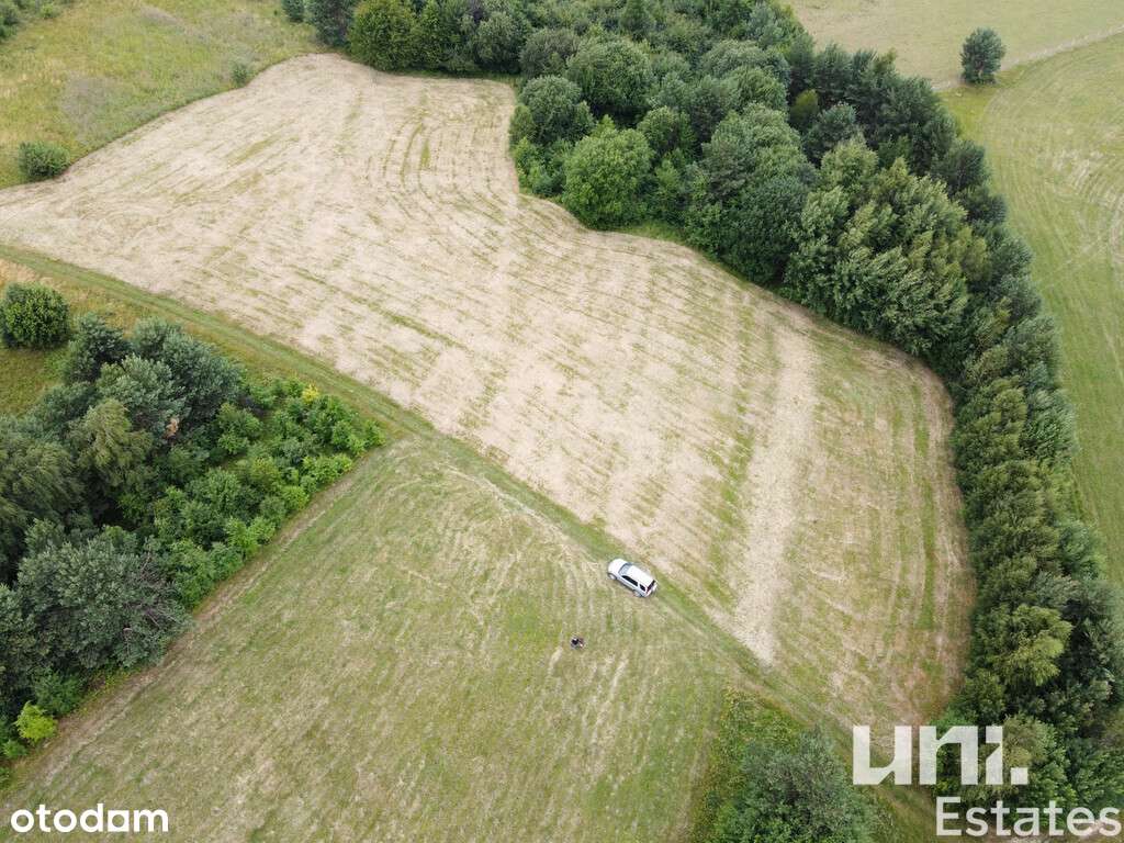 Kuźmina | Rolna | Spokojna okolica | 67 ar - Pełny obrazek: 5/8