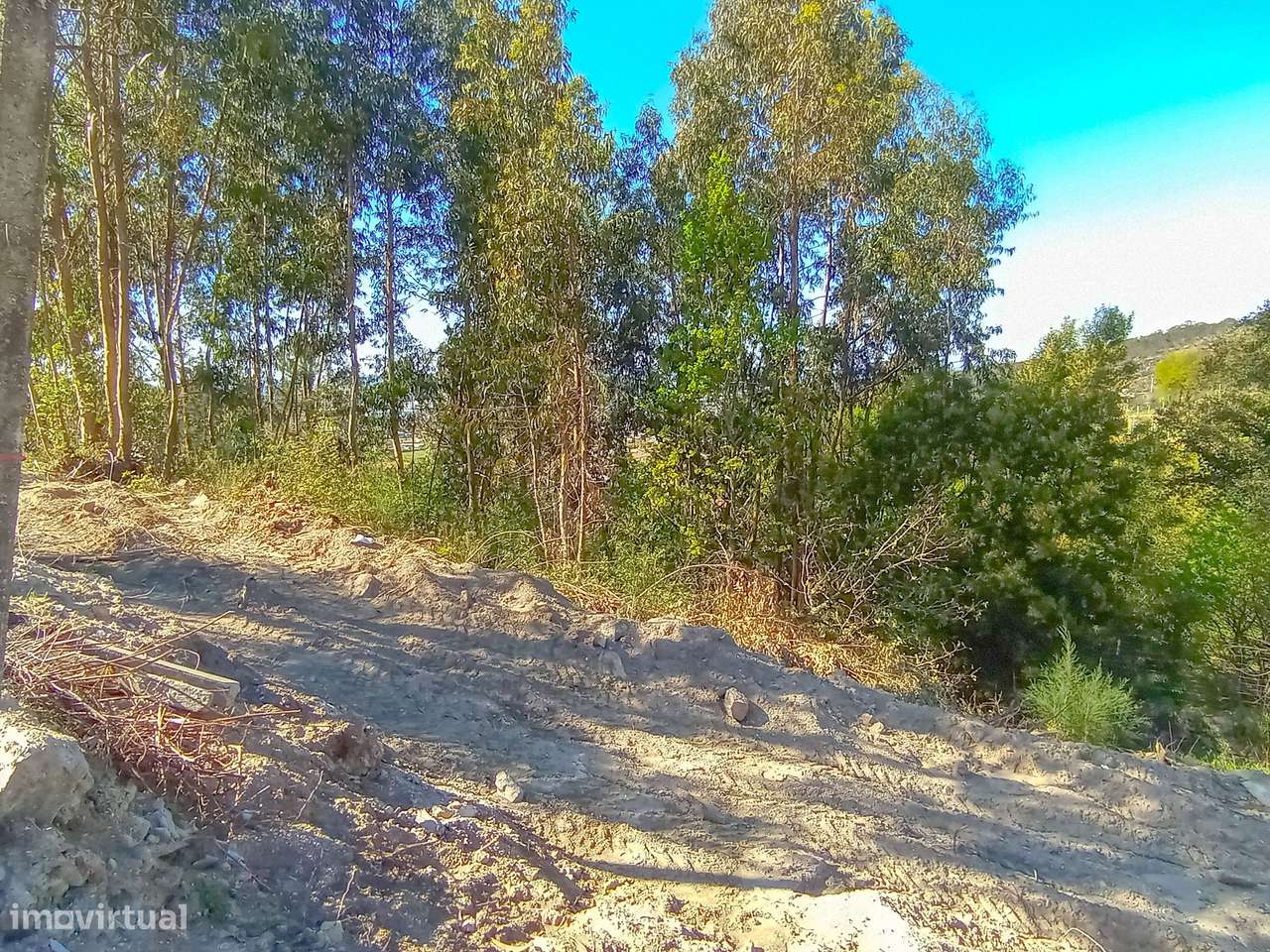 Terreno com 3000m2 em Vila Nova do Campo, Santo Tirso-7