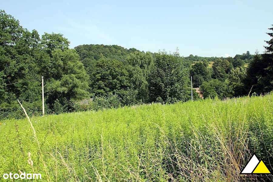 Działka w Świeciu - Pełny obrazek: 4/4