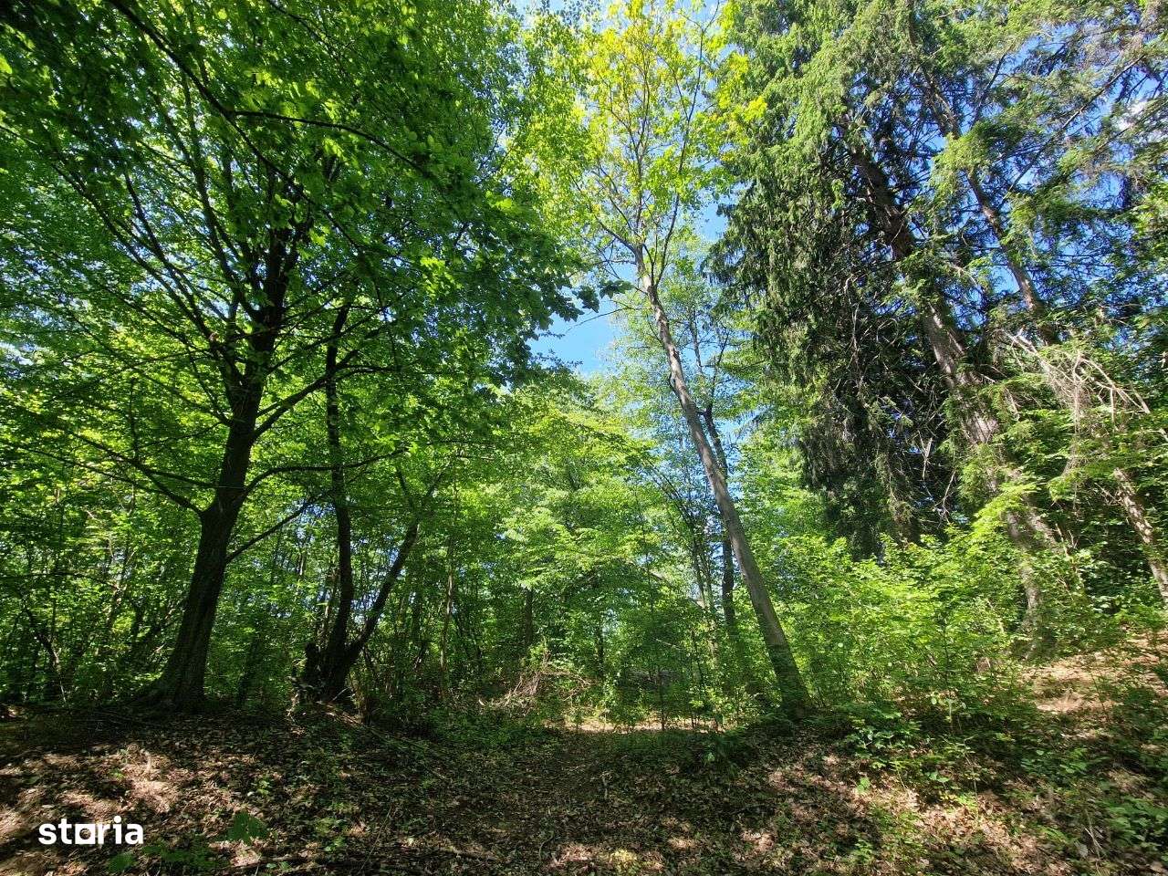 Teren intravilan Comarnic cartier Podul lung langa padure-14