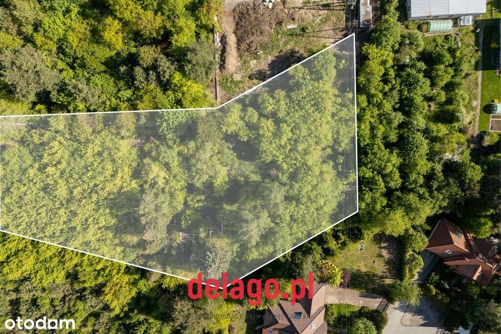 Duża działa budowlana przy lesie – Łazy - Pełny obrazek: 5/14