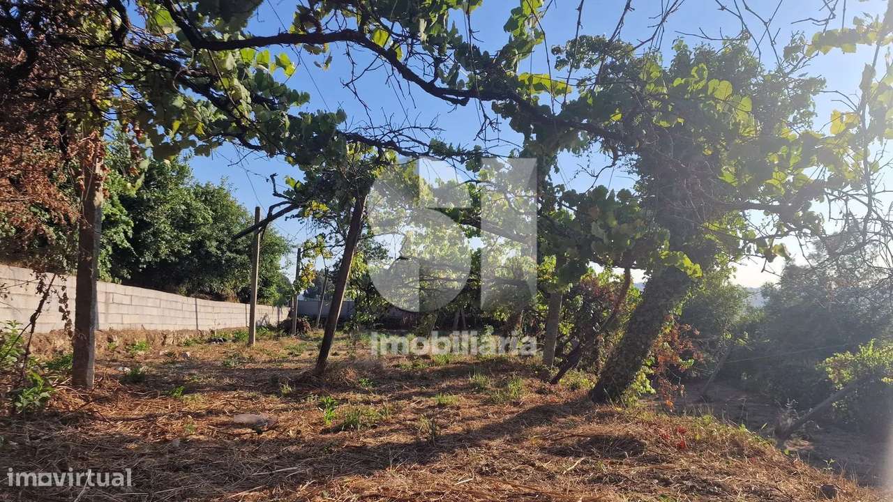 Terreno - potencial de investimento - Astromil - Paredes-19