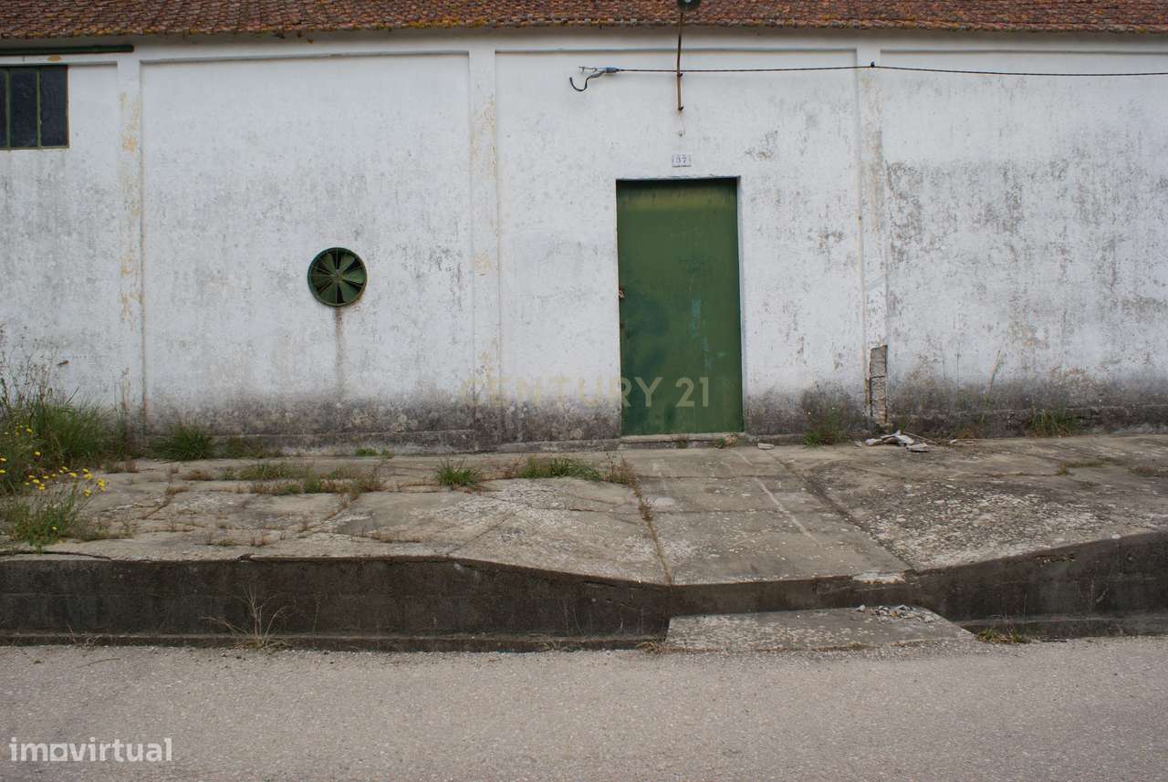 Espaçoso Térreo com Garagem em Localização Privilegiada-8
