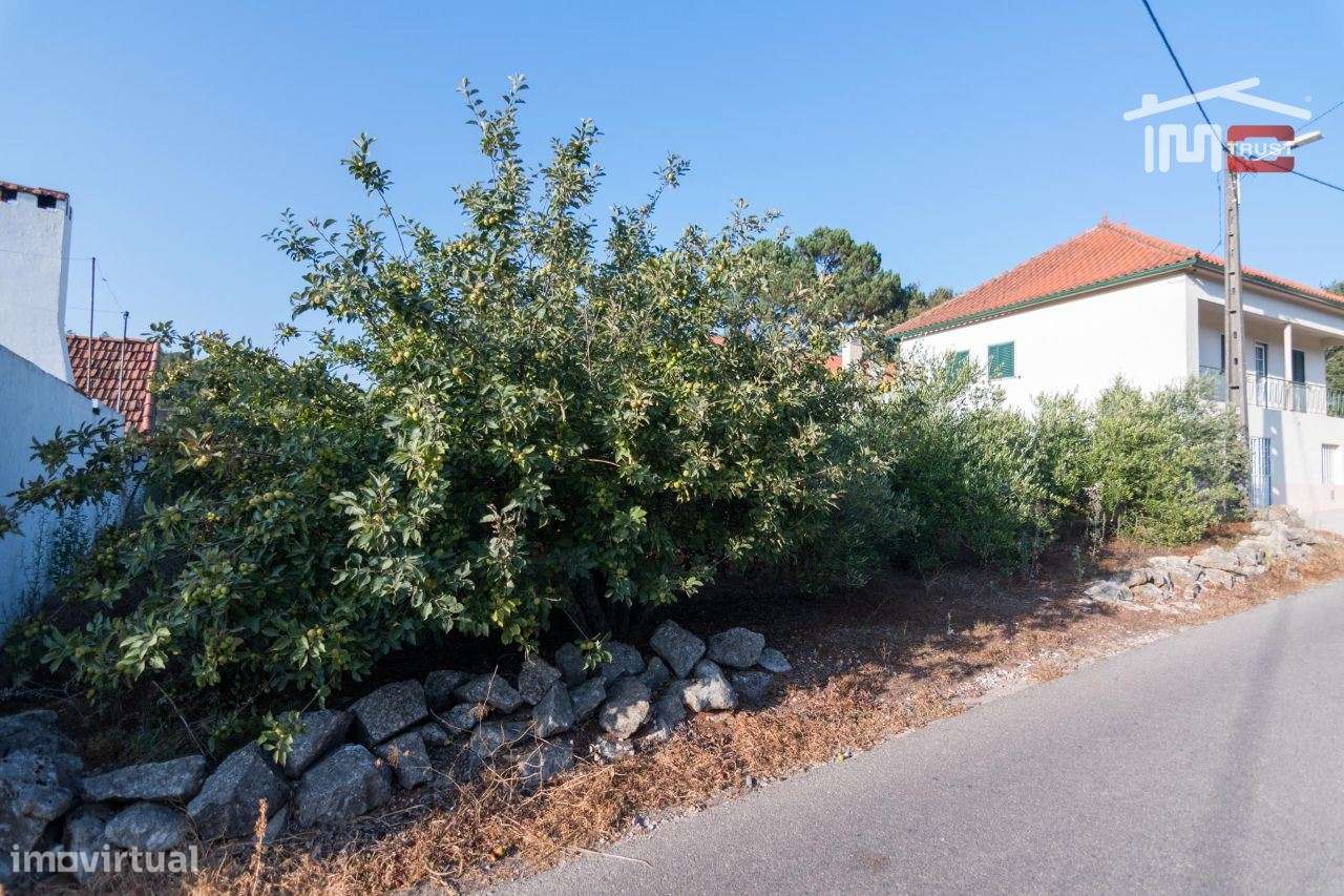 TERRENO RUSTICO COM AREA DE 2140 M2 COM OLIVAL EM BOUCEIROS PORTO D... - Grande imagem: 4/7