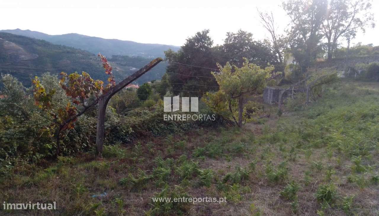 Venda Terreno com viabilidade de construção, Ancede, Baião - Grande imagem: 4/30