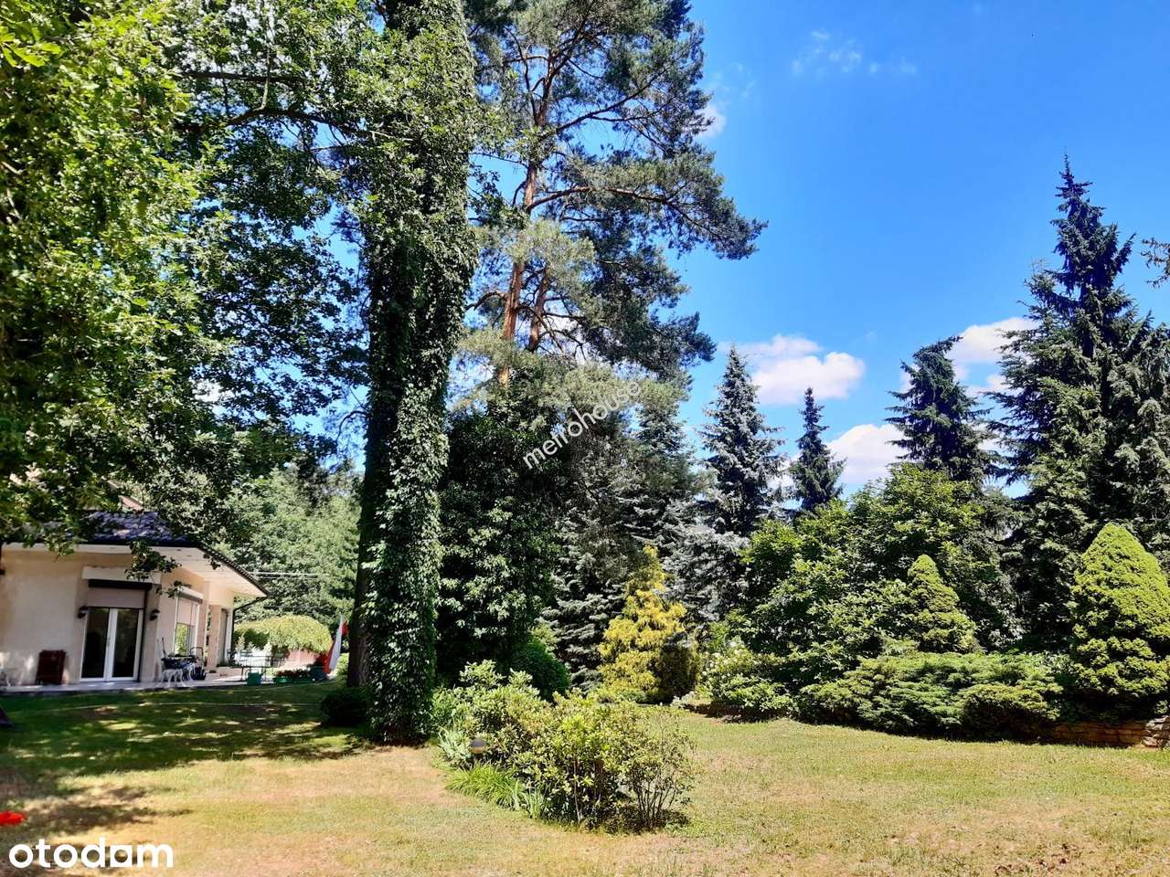 Sprzedam dom w spokojnej, zielonej okolicy, Głowno-15