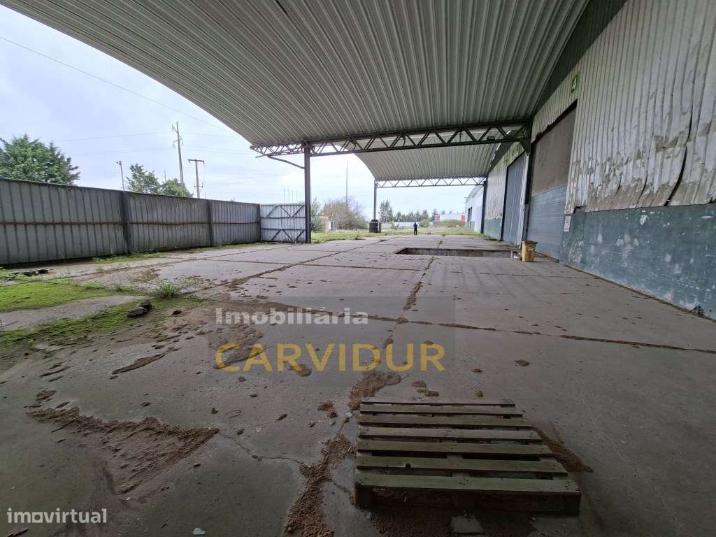 Armazém Industrial de Grande Dimensão - Parque Industrial da Mitren...-19