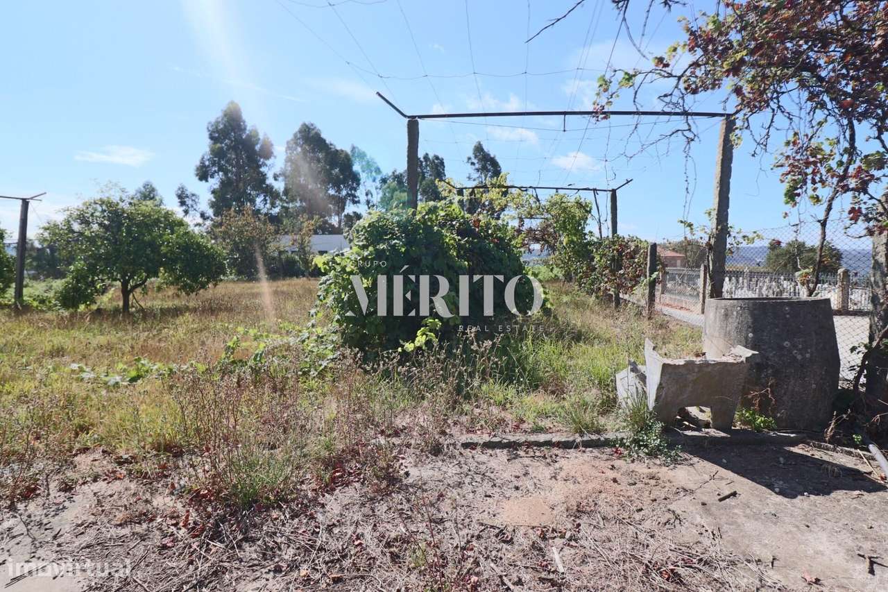 Quintinha com uma moradia térrea. - Grande imagem: 4/25