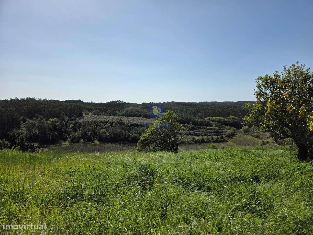 Quintinha com 12.484m2 de Terreno e 260m2 de área bruta. Possibilidad-20