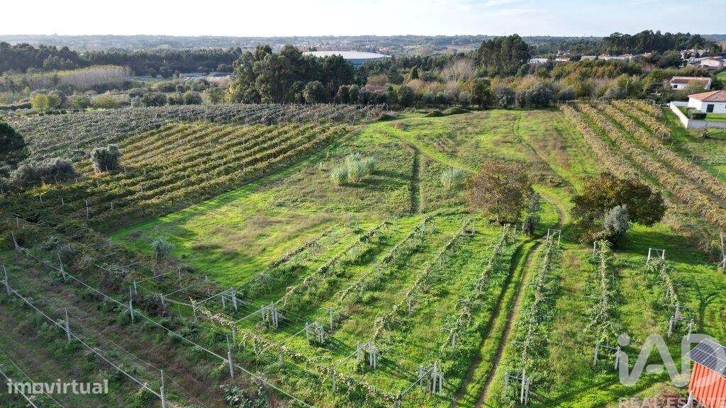 Terreno para construção em Sangalhos - Grande imagem: 3/16