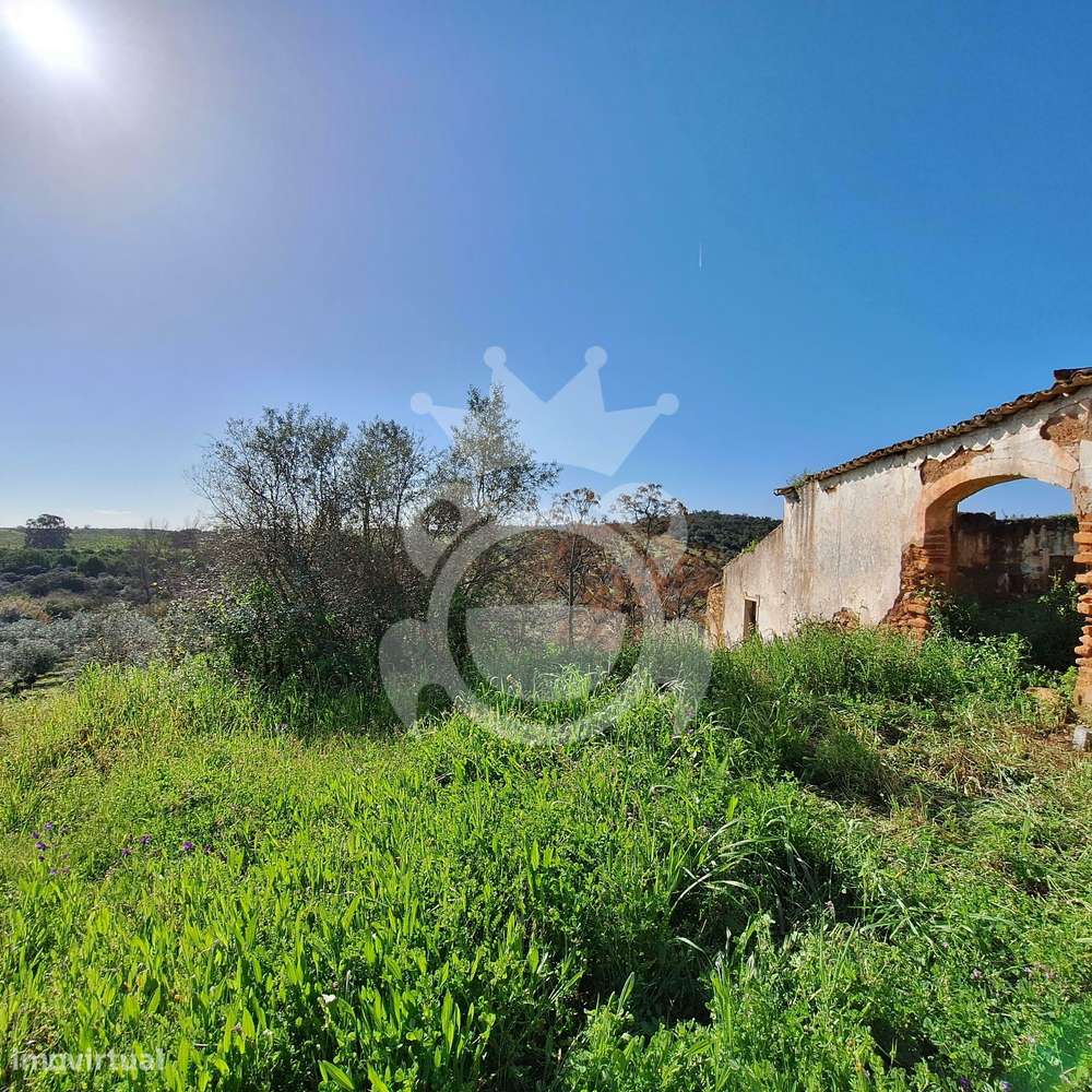 Arrecadação - Grande imagem: 4/6