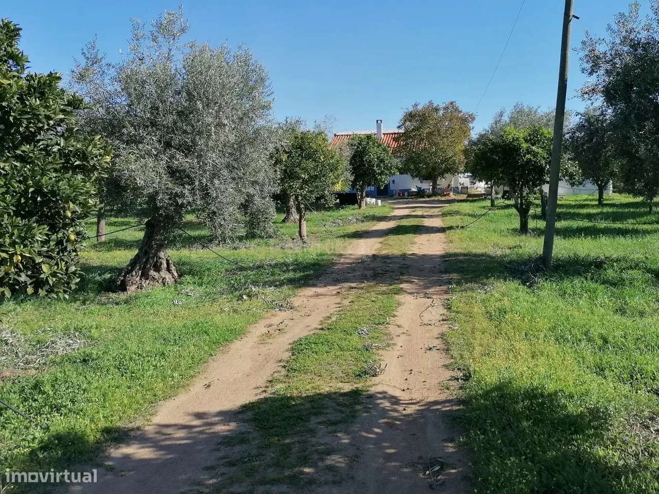 Quinta no Carapetal-8